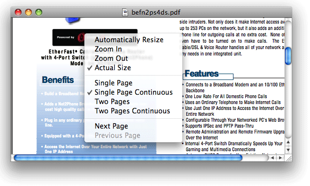 PDF preview