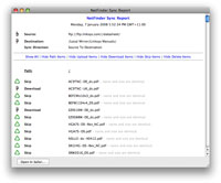 Mirroring Reports